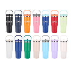Stainless Steel Handheld Vacuum Insulated Straw Water Cup