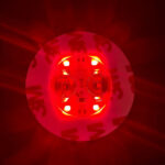 51989b669553128e7859a40c167199cd818d431565fba0a16073105aaf49ea87