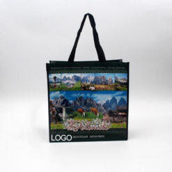 Laminated Non-woven Bag