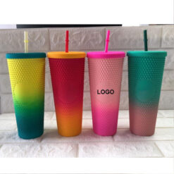 Double Plastic Straw Cup