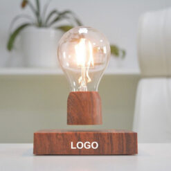 Magnetic Levitation Light Bulb