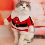 9e8fb6400c6ae47883c5dce49db863c3412e3a787c4a5d47f999c2026c0ffb42