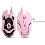 698ed4d08dc94a748ebebfab202aaf250d930244bdefd14f703bc28d917c08b1