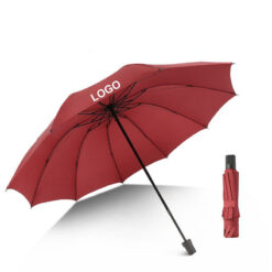Fully Automatic Folding Umbrella