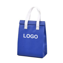 Disposable Insulation Bag