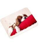 0c12e5fc61f205a07626385627f5f1b19c1d4d099eb4d263b58b89390718610d