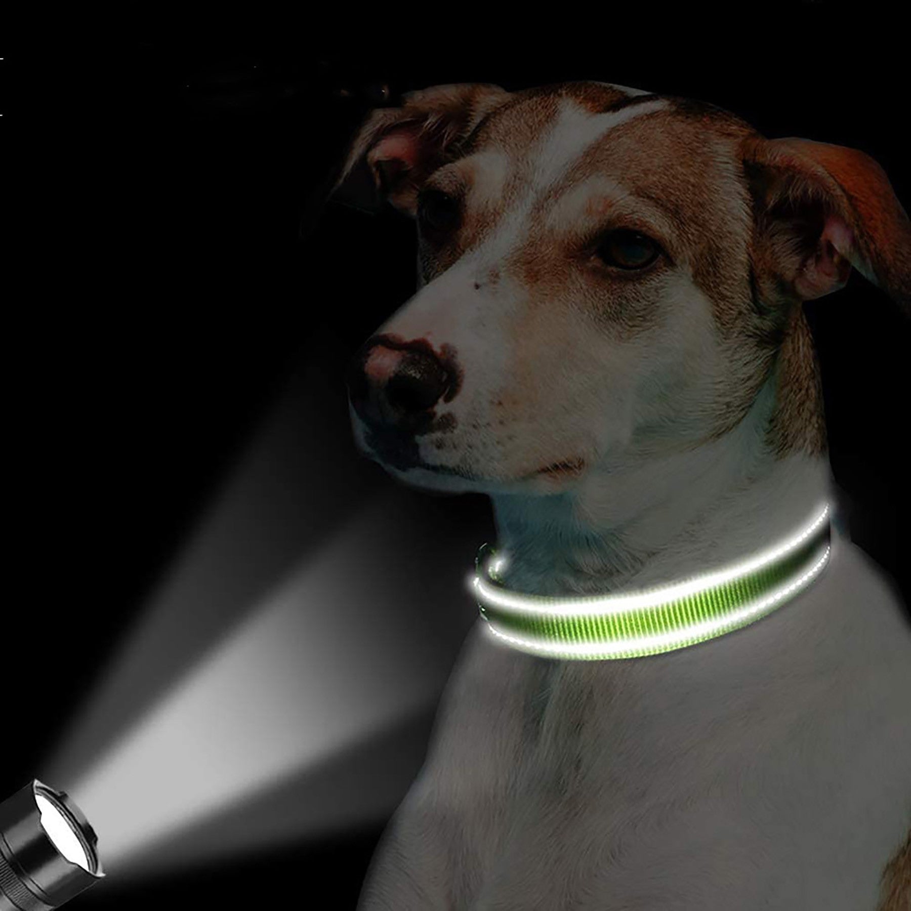 00c986d293fda362260f12f73e5ad51e7d5e8a31f1d10e96530641e0c6caf80a