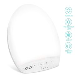 Mood Regulation Daylight