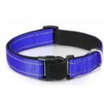 79cf11ef49c1bd96830568bd61ba5e09adfc5966f81e1cbb3bb302b2d0cae48a