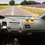 6e60486198bb30e3ffd973c55e353c2eabab6c1731c92a6c9767a7729ef1136f