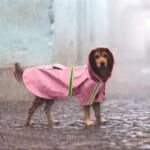 14f132cdc9002a8c69cb77d7b29e91a688625f8e5b556350dfa88ca3d086060a