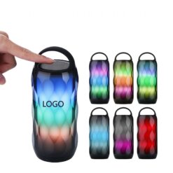 Portable Wireless Audio