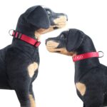 fd4219007428a1679911308e42804bc575b298c25a1aa9be5f69becba00842b4