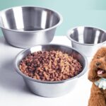 90a04aaf2601b43666f7921adabd2f09ef90bdcc3db17fba97cd82da568e8454