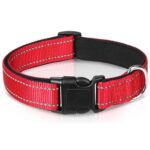 79cf11ef49c1bd96830568bd61ba5e09adfc5966f81e1cbb3bb302b2d0cae48a