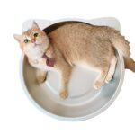 b960cf18a1feea6cb52bd86cc8e00784a454c27372d1dff42ebb0ee62ab96ae4