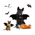 43db68c6cf187ee89542abbb5f2f77b645e5435f3ccd9895a1f1608a56016e9d