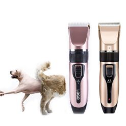 Household Electric Shaver