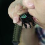 41051180b9f3aab9aefb273729cc7358c3b69e78e95a14e5071b6baf85bb4554